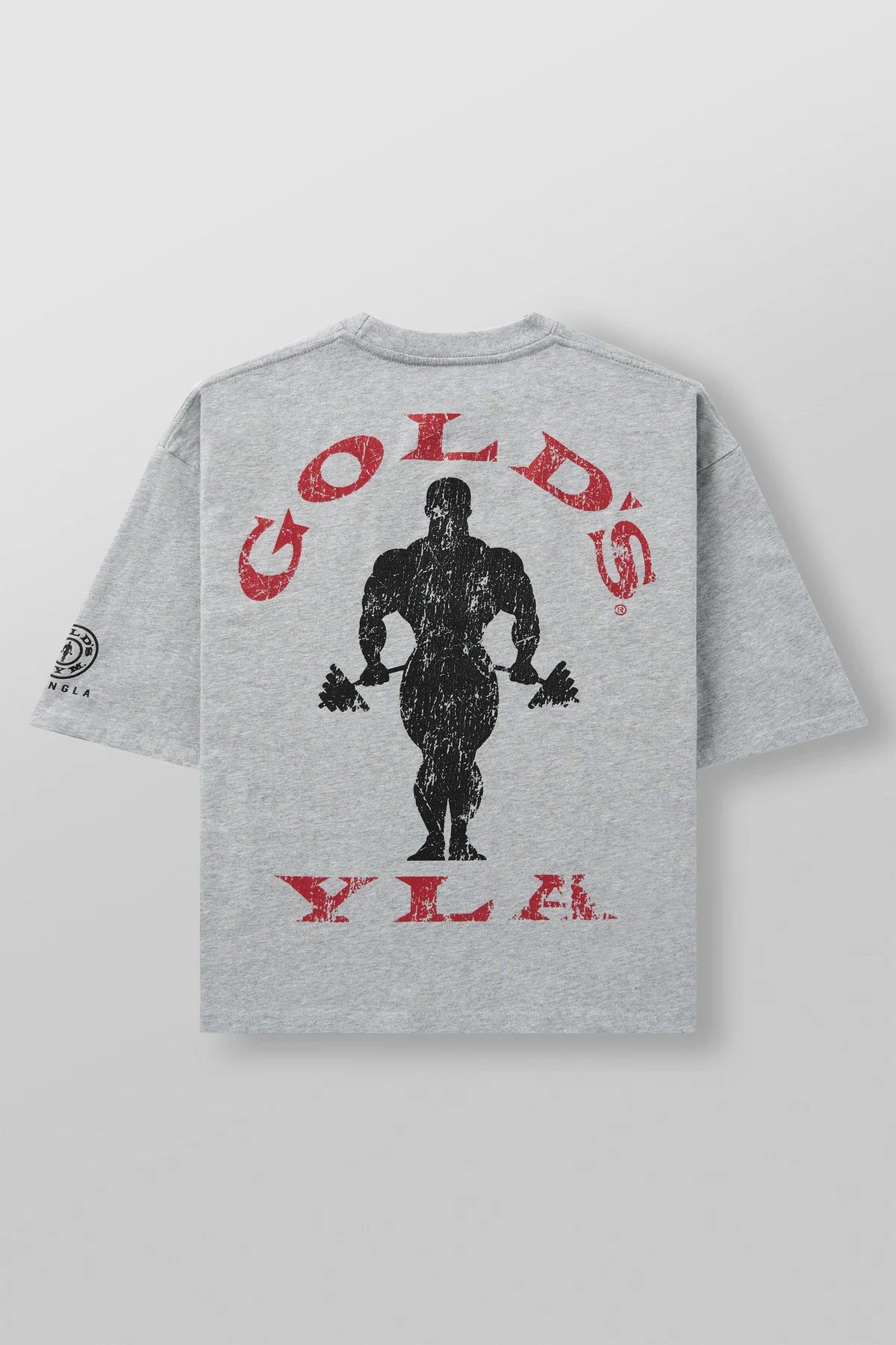 Young LA Golds Gym New Age Tee Heather Gray