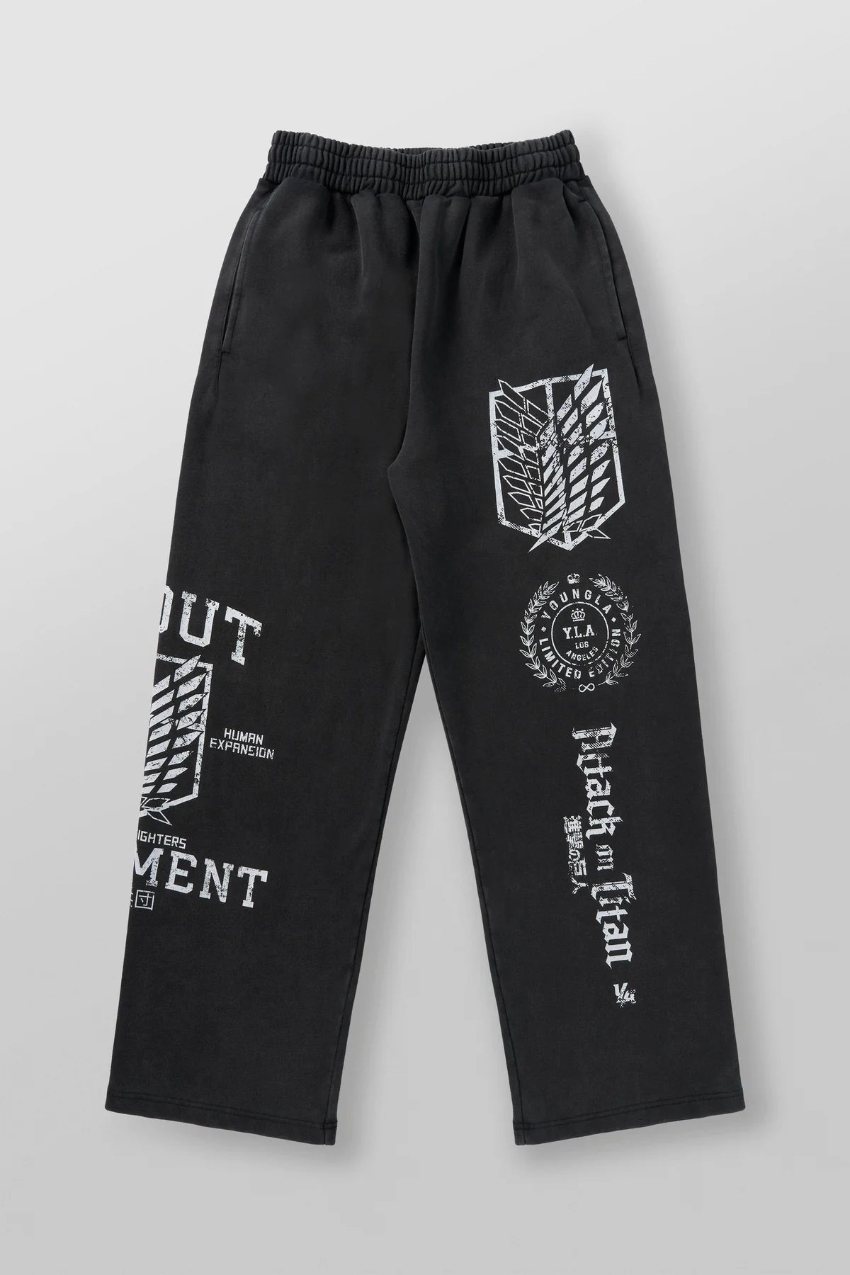 AOT x YLA Baggy Joggers “Regiment Freedom”